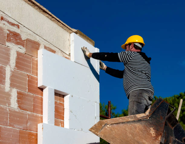 Best Professional Insulation Contractor  in Fishhook, AK