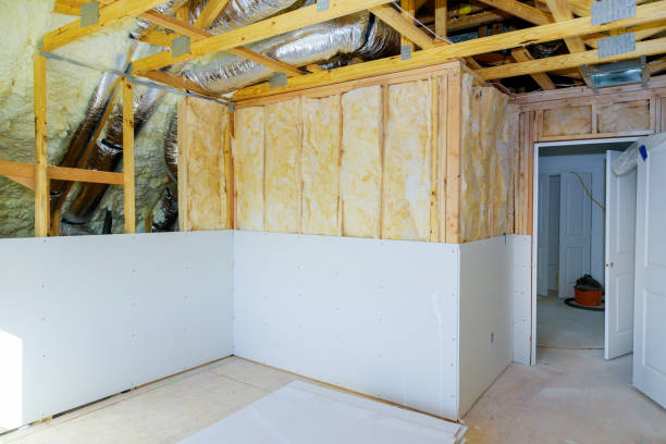 Best Insulation Removal  in Fishhook, AK