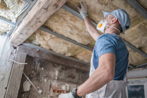 Best Garage Insulation Installation  in Fishhook, AK