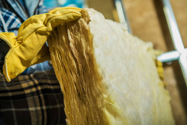 Soundproof Insulation Installation in Fishhook, AK