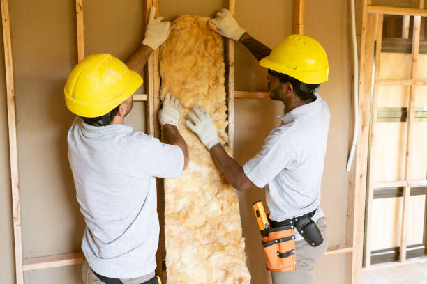 Best Crawl Space Insulation  in Fishhook, AK