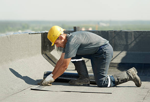 Best Attic Insulation Installation  in Fishhook, AK