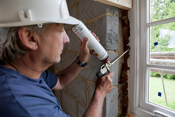 Best Cellulose Insulation  in Fishhook, AK
