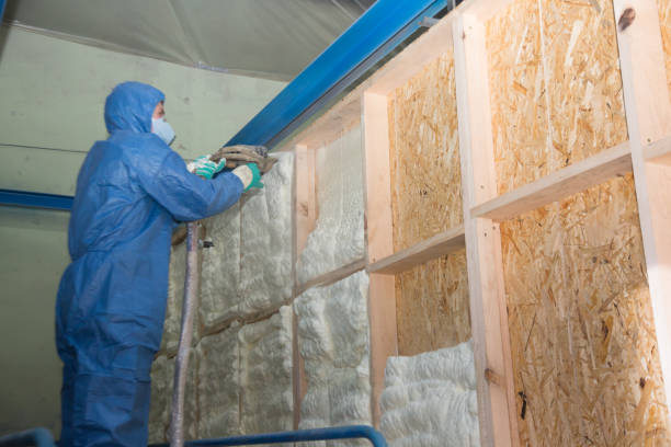 Best Home Insulation Services  in Fishhook, AK