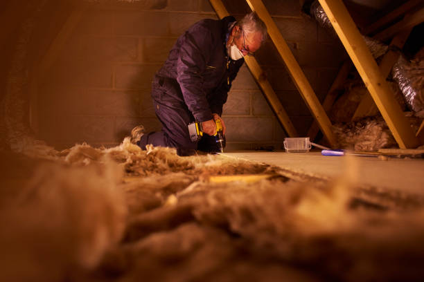 Best Soundproof Insulation Installation  in Fishhook, AK