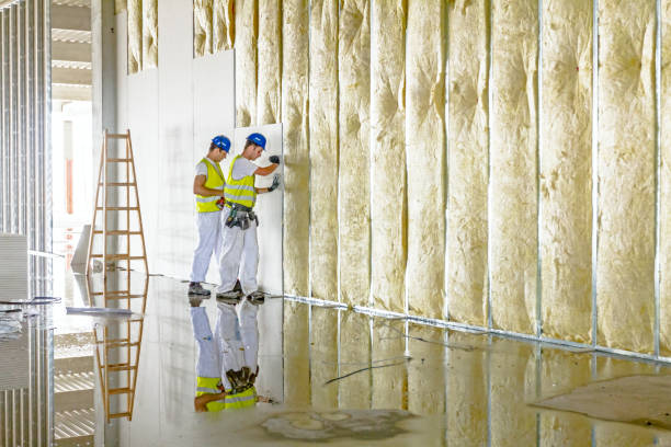 Best Attic Insulation Installation  in Fishhook, AK